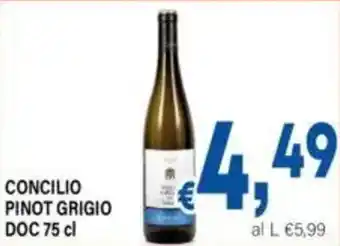 DEM Concilio pinot grigio doc offerta