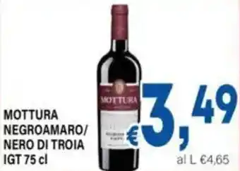 DEM Mottura negroamaro/ nero di troia igt offerta