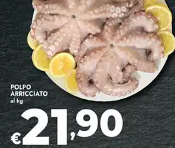 Bennet Polpo arricciato offerta