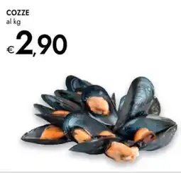 Bennet Cozze offerta