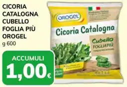 Basko Cicoria catalogna cubello foglia più OROGEL offerta