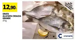 Coop ORATA ALLEVATA CROAZIA GRANDE offerta