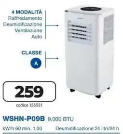 Trony Hyundai 4 modalità WSHN-P09B 9.000 BTU offerta