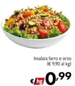 Maxi Family Insalata farro e orzo offerta