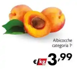 Maxi Family Albicocche categoria 1ª offerta