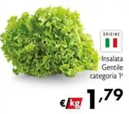 Maxi Family Insalata Gentile categoria 1ª offerta