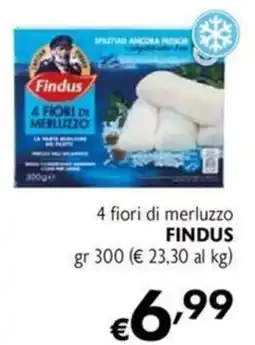Maxi Family 4 fiori di merluzzo FINDUS offerta
