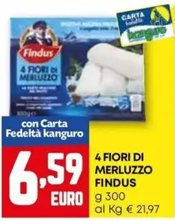 Kanguro 4 fiori di merluzzo FINDUS offerta