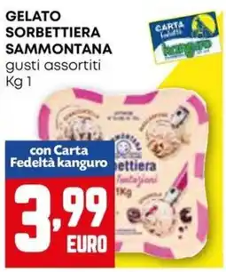 Kanguro Gelato sorbettiera SAMMONTANA offerta