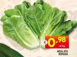 Centro Commerciale Discount Insalata romana offerta