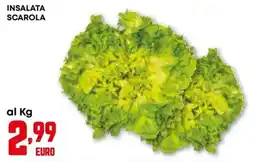 Kanguro Insalata scarola offerta