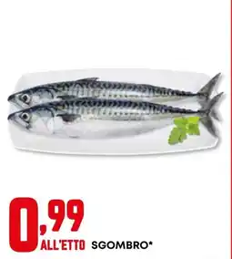 Kanguro Sgombro offerta