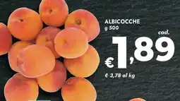 Bennet Albicocche offerta