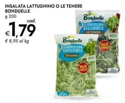 Bennet Insalata lattughino o le tenere BONDUELLE offerta