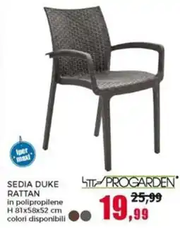 Happy Casa Progarden sedia duke rattan offerta