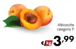 Maxi Supermercati Albicocche offerta