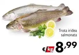Maxi Supermercati Trota iridea salmonata offerta