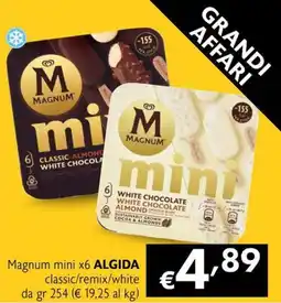 Maxi Supermercati Magnum mini x6 ALGIDA classic/remix/white offerta