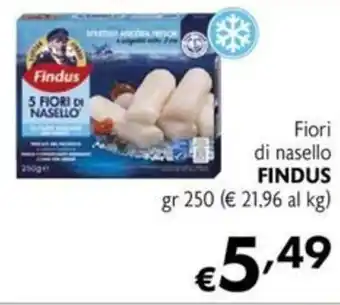 Maxi Supermercati Fiori di nasello FINDUS offerta