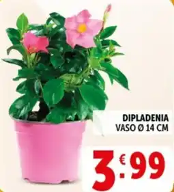 Deco Supermercati Dipladenia offerta