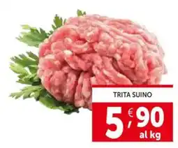 Deco Supermercati Trita suino offerta