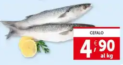 Deco Supermercati Cefalo offerta