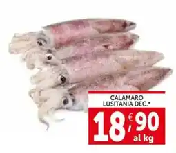 Deco Supermercati Calamaro lusitania dec. offerta