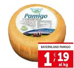 Deco Supermercati Bayernland pamigo offerta