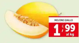 Deco Supermercati Melone giallo offerta