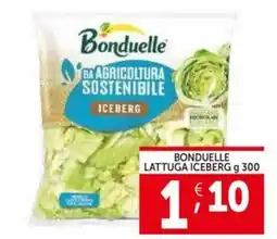 Deco Supermercati Bonduelle lattuga iceberg offerta