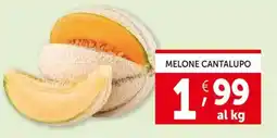Deco Supermercati Melone cantalupo offerta