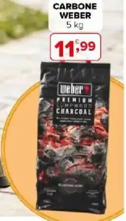 Iperal Carbone WEBER offerta