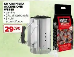 Iperal Kit ciminiera accensione WEBER offerta