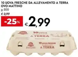 Bennet 10 uova fresche da allevamento a terra OVO MATTINO offerta