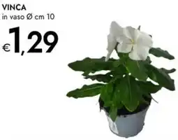 Bennet Vinca offerta
