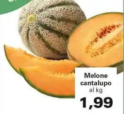Alvama Melone cantalupo offerta