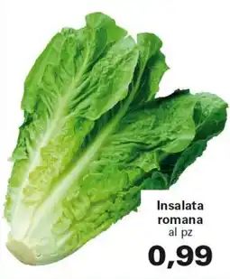 Alvama Insalata romana offerta