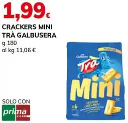 Basko Crackers mini trà GALBUSERA offerta