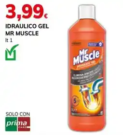 Basko Idraulico gel MR MUSCLE offerta