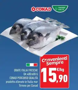 Conad Superstore Orate italia fresche CONAD PERCORSO QUALITÀ offerta