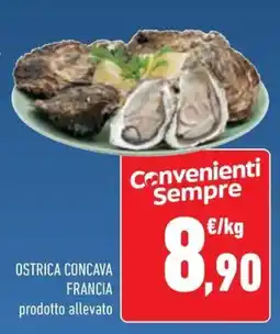 Conad Superstore Ostrica concava francia offerta
