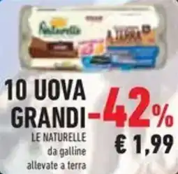 Conad Superstore 10 uova grandi LE NATURELLE offerta