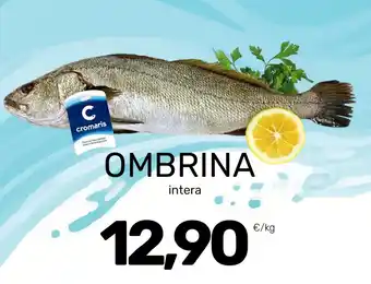 OMBRINA intera
