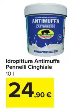 Carrefour Idropittura Antimuffa Pennelli Cinghiale offerta