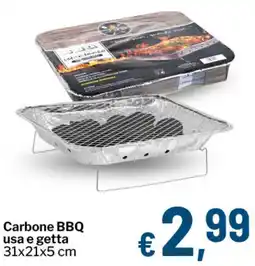 Qui Discount Carbone BBQ usa e getta 31x21x5 cm offerta