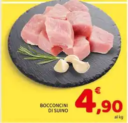 Conad Bocconcini di Suino offerta