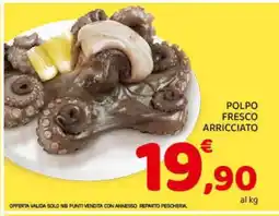 Conad Polpo Fresco Arricciato offerta