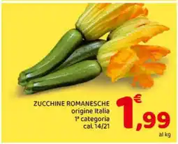 Conad Zucchine Romanesche offerta