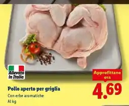 Lidl Pollo Aperto Per Griglia offerta