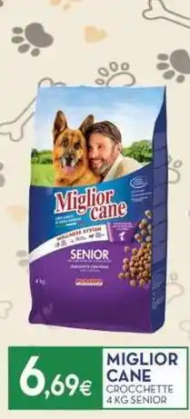 Proshop Miglior cane crocchette senior offerta